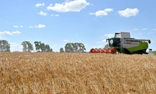 Thương mại mở đã cứu chúng ta khỏi cuộc khủng hoảng lương thực toàn cầu như thế nào?