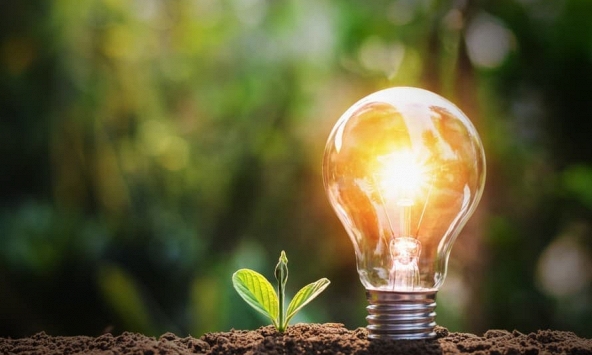 Trục xoay xanh của Trung Quốc tại châu Phi: Mô hình bền vững cho Âu Á?