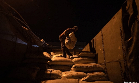 Giá ca cao tăng vọt khi các nhà giao dịch đánh giá cán cân cung cầu toàn cầu