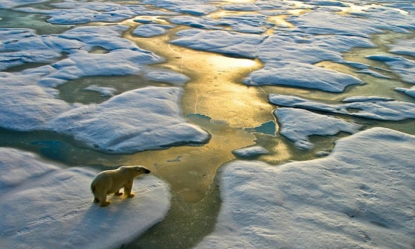 Thế giới 'đang chao đảo' khi nhiệt độ toàn cầu sẽ đạt mức 3,1°C trong thế kỷ này