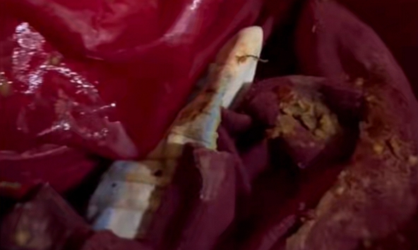 Đi công tác về nhà muộn một tiếng, vợ bật khóc vì hành động kinh khủng từ chồng