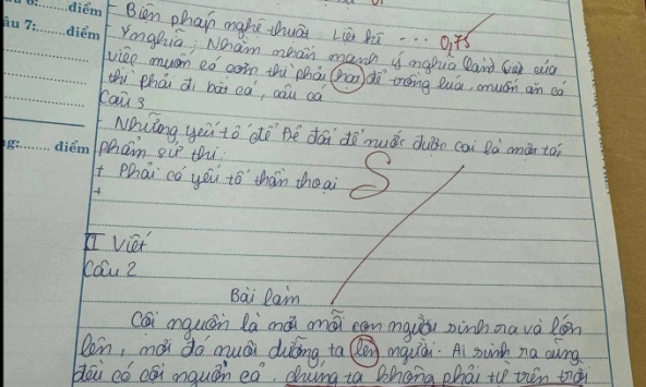 Bài kiểm tra Ngữ Văn khiến giáo viên “áp lực”, nhưng dân tình tranh cãi 1 chi tiết: Cóc hay cáo mới đúng? 