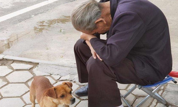 Trong các gia đình, những kiểu con cái này bề ngoài có vẻ hiếu thảo nhưng thực chất lại là “thảm họa” cho cha mẹ