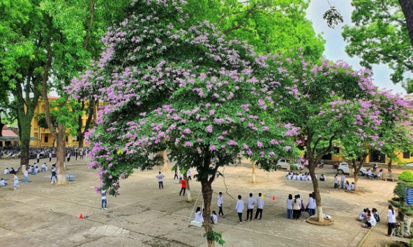 Ngôi trường làng ở Hà Nội: Điểm chuẩn hàng năm thấp nhưng thành tích thi tốt nghiệp 2024 cao, đứng sau mỗi trường Ams ở môn này!