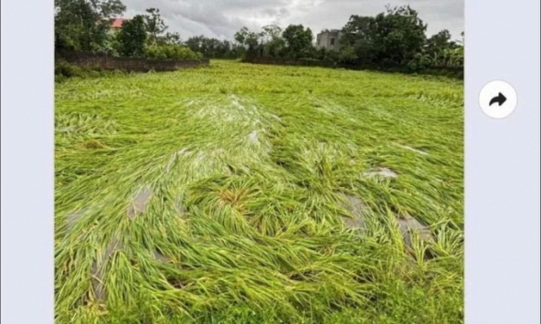 Đoạn tin nhắn đọc mà nhói lòng của 2 mẹ con: Bão thổi bay 'tiền đóng học' rồi con ơi!