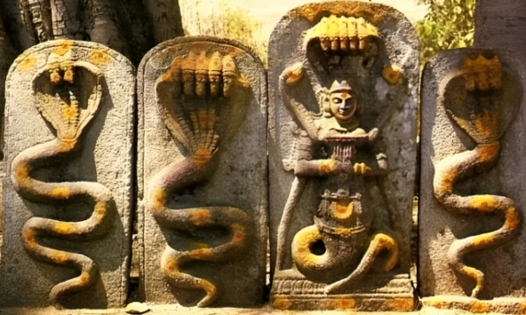 Năm Ất Tỵ tìm hiểu về hình tượng rắn trong các nền văn hóa thế giới