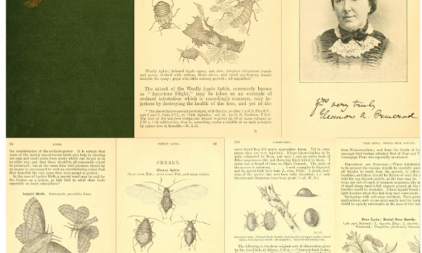 Eleanor Anne Ormerod - 'Người bảo hộ nông nghiệp Anh'