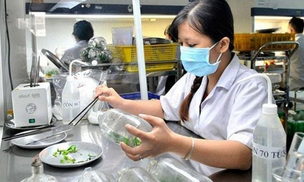 Nghiên cứu và phát triển cây trồng thông qua bảo hộ quyền sở hữu trí tuệ