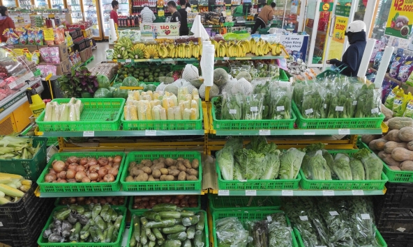 100% nhà cung cấp rau củ quả tại Bách Hóa Xanh tham gia chương trình “Tick Xanh Trách Nhiệm'