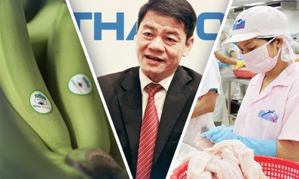 Tại sao THACO hủy công ty đại chúng?