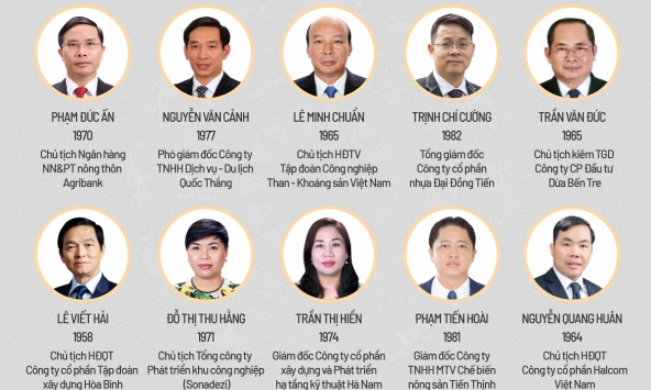 Doanh nhân đi vào Quốc hội