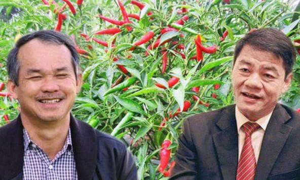 Tỷ phú Trần Bá Dương bất ngờ dừng đầu tư vào HAGL Agrico