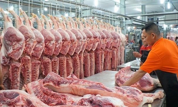 Vissan xin tạm dừng hoạt động mất hàng trăm tỷ đồng doanh thu