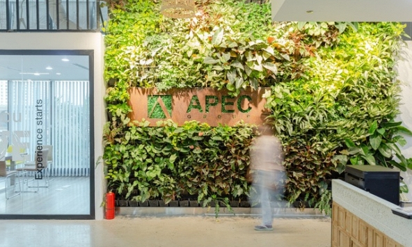 Trái phiếu của Tập đoàn Apec tiềm ẩn nhiều rủi ro khi không có tài sản đảm bảo