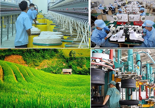 Nhiều nước ngỡ đã thoát khỏi đại dịch COVID-19 nhờ chiến lược phong tỏa và tiêm chủng diện rộng