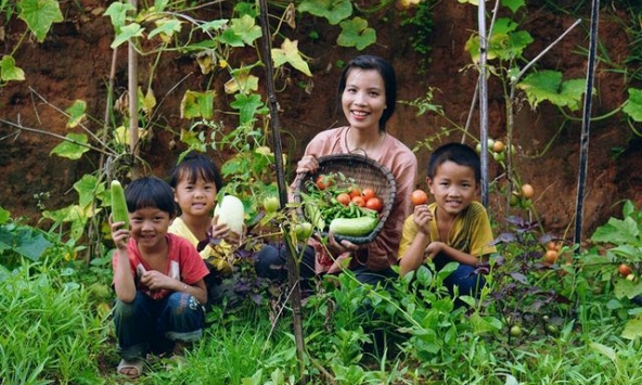 Rủ nhau bỏ phố về quê, không phải có tiền là đủ