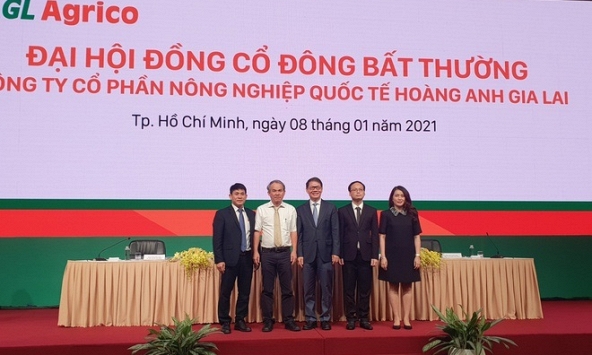 Cổ phiếu Hoàng Anh Gia Lai - HAGL Agrico (HNG) từ diện kiểm soát sang diện cảnh báo