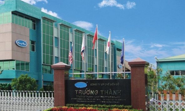 Công ty Cổ phần Tập đoàn Kỹ nghệ Gỗ Trường Thành vẫn bị giữ nguyên diện kiểm soát, khả năng hủy niêm yết bắt buộc đối với cổ phiếu TTF