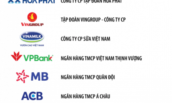 Top 10 Bảng xếp hạng Top 500 Doanh nghiệp tư nhân lợi nhuận tốt nhất Việt Nam năm 2021 có những doanh nghiệp nào?