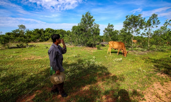 TPHCM xin cơ chế rút ngắn thời gian tính tiền sử dụng đất