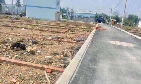 Hiện tượng đổ xô đi đấu giá, đầu cơ, cùng những ồn ào về phân lô bán nền