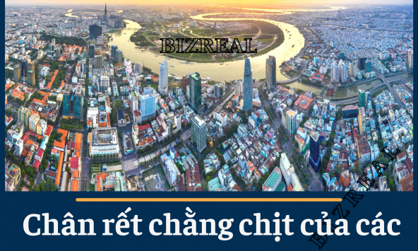 Quá trình tổ chức đấu giá đất ở một số nơi có hiện tượng như 'cò đấu giá', 'quân xanh - quân đỏ' lộng hành