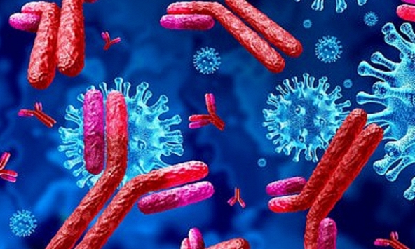 Vì sao có người ăn, ngủ cùng F0 vẫn không mắc Covid-19?