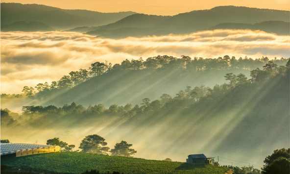 Loạt 'ông lớn' đổ bộ Lâm Đồng