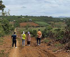 Những vị trí có 'view' gần ruộng, ao, hồ... được săn lùng trong thời gian gần đây