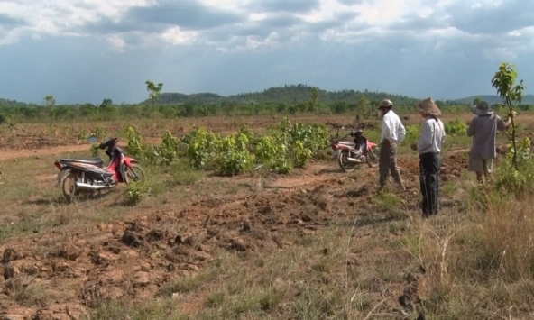 Giới đầu tư bất động sản nhỏ lẻ từ nhiều nơi đã rầm rộ đổ về đây để mua đất khiến giá đất cứ thế nhảy múa loạn nhịp
