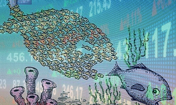 Thao túng giá, làm giá ngày càng tinh vi