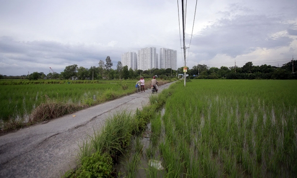 Có nhiều trường hợp tự ý chuyển mục đích sử dụng đất tại TPHCM