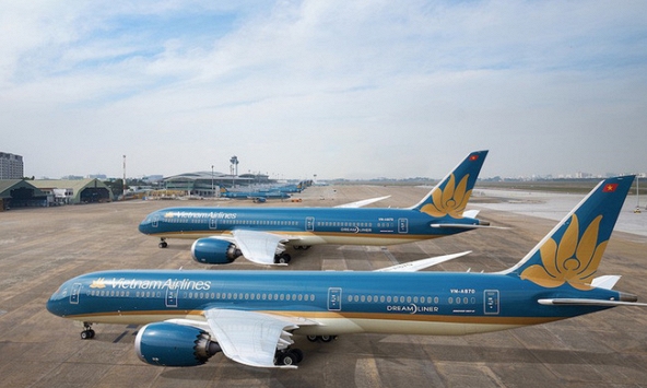 Xử phạt Vietnam Airlines, Louis Land