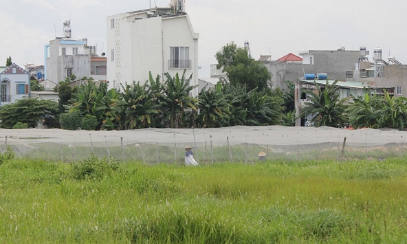 Luật phải ích nước, lợi nhà, bảo đảm tính ổn định, bền vững