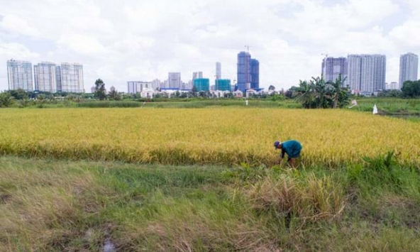 Thị trường bất động sản đứng trước kỳ vọng được 'cởi trói' khi bỏ khung giá đất