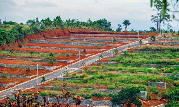 Hệ lụy nặng nề sẽ để lại cho thị trường từ phân lô bán nền