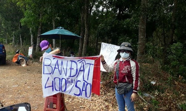 Việc xác định bảng giá đất hàng năm còn nhiều bất cập, cùng với đó cơ sở dữ liệu giá đất đầu vào chưa đáng tin cậy