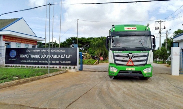 THILOGI cung ứng dịch vụ vận chuyển gia súc chuyên nghiệp