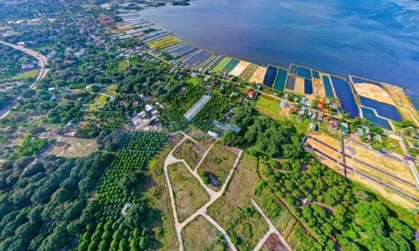 Đầu cơ đất đai diễn ra sôi động đẩy giá đất tăng cao