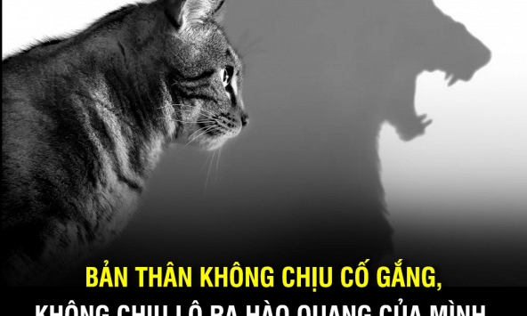 Tự tin mình giỏi mấy cũng phải nhớ những điều này