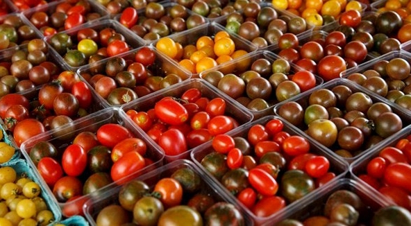 Áp thuế đối với hàng hóa Mexico có thể khiến Donald Trump không thể tái đắc cử