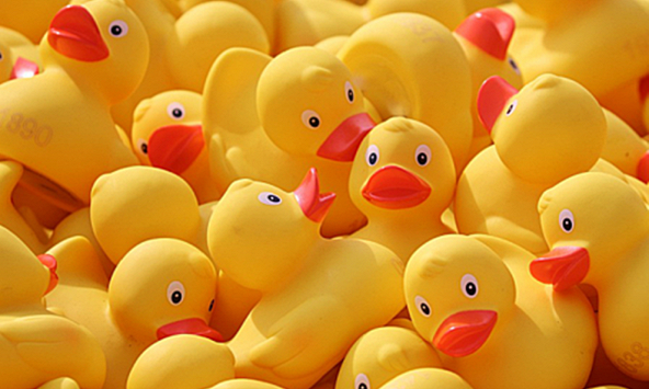 Vịt cao su ở Trung Quốc chứa chất gây vô sinh