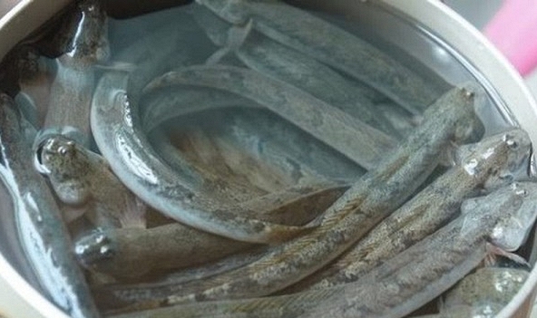 Giá thực phẩm ngày 9/6: Cá kèo 180.000 đồng/kg