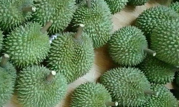 Giá thực phẩm ngày 29/6: Sầu Riêng Ri6 75.000 đồng/kg, Cái Mơn 70.000 đồng/kg