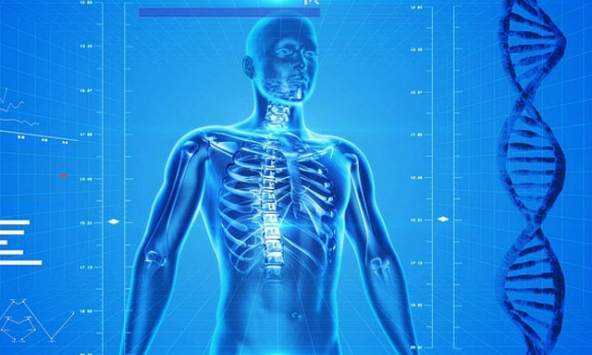 7 siêu thực phẩm cho bệnh loãng xương