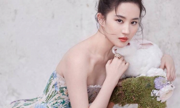 Tử vi công việc 12 con giáp 29/6/2019: Dậu tự tin thái quá, Tỵ có cơ hội thăng tiến