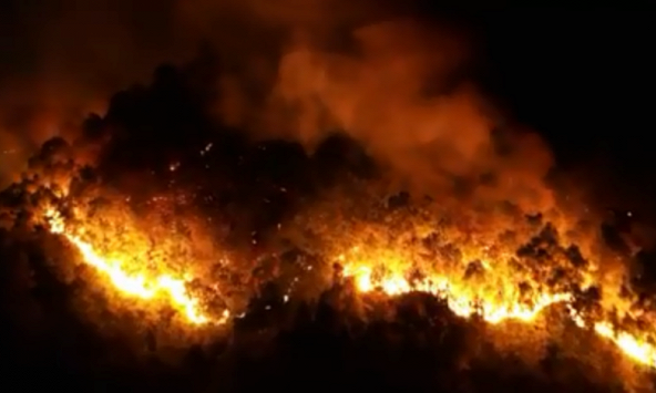 Chùm ảnh cháy rừng lịch sử ở Hà Tĩnh: Rừng thông gần 50 năm tuổi chìm trong biển lửa
