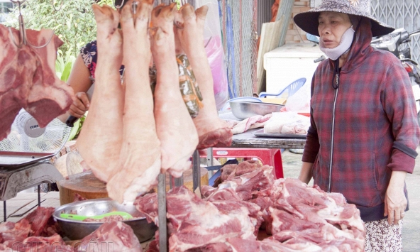 Nguồn cung dồi dào, giá thịt heo vẫn ở mức thấp