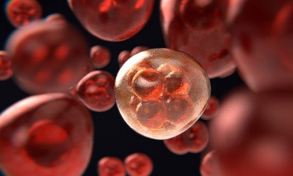 7 dấu hiệu của bệnh bạch cầu bạn không nên bỏ qua