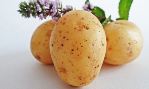 7 tác hại khi bạn ăn khoai tây mỗi ngày
